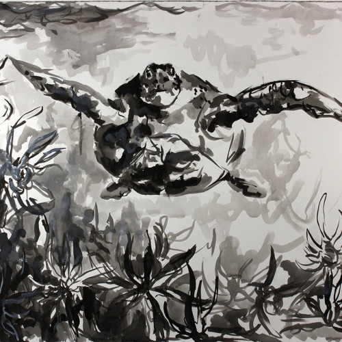 Turtle, ink on paper, 2011